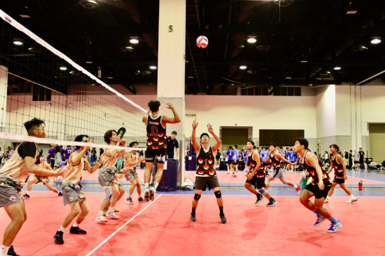 volleyball players on a court